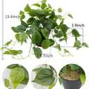 LOYWREE Artificial Scindapsus Aureus Fake Pothos Plants in Black Pots - Realistic Faux Indoor Greenery Potted for Home, Office, Desk, Shelf, Living Room, Bedroom, Balcony, Patio & Garden Decor