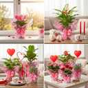 ForraFun 50 Set Valentine Plant Pot Covers Heart Cellophane Wrap Paper Sheets with 15 Bow Decorative Plant Sleeve for Home Flower Pot DIY Decor (Pink)