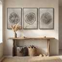 Large Framed Gray Tree Rings Wall Art for Living Room, 3 Piece Neutral Nature Tree Stump Canvas Artwork for walls, Wabi Sabi Wood Grain Prints Paintings for Bedroom Hallway Wall Decor, 24x36 Inchs