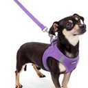 rabbitgoo Dog Harness and Leash Set, Step in Soft Light Puppy Vest, Breathable Mesh Pet Harness, Reflective for Outdoor Safe Walking, Purple (XXXS (chest: 10.8 - 11.8"))