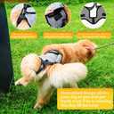 Upgraded Dog Lift Harness for Large Dogs Support Up to 110lb with Handles Locks - Quick-Release Adjustable Mobility Support Harness for Arthritis Surgery Recovery Disabled Elderly Dogs (L)