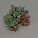 Nubry Mini Fake Plants in Ceramic Pots Artificial Small Succulents Potted Faux Assorted Lifelike Plants for Home Office Desk Decor, Set of 6 (Black Ceramic Pots)