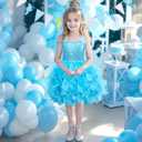 Blue Tutu Dress for Girls Fancy Sparkly Sequin Tulle Princess Party Dress for Kids Baby Girls Wedding Pageant Sneaker Ball Gown Prom Dance Frozen Birthday Christmas Outfit 5-6T