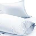 TEXAS LINEN CO. Luxury Egyptian Cotton King Pillow Cases Set of 2-1000 Thread Count Pillowcases for Sleeping, Soft, Cooling Pillow Cover, Extra Long Staple Hotel Quality Pillow Cases - Light Blue