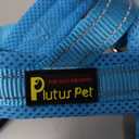 Plutus Pet No Pull Dog Harness with Breathable Mesh Padded, Adjustable Reflective Escape Proof Dog Harness, Quick Fit Dog Vest Harness for S Dogs(L, Cyan)