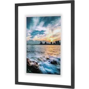 ONE WALL 18x24 Inch Floating Frame, Black Wood Double Glass Float Picture Frame Display Photos Plant or Petal Specimens for Wall Hanging - Mounting Kit Included