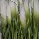 Vlorart 33" Artificial Plants 6 Pack Onion Tall Grass Greenery, Faux Fake Grass Shrubs Plant Flowers Wheat Grass for House Home Indoor Outdoor Office Room Gardening Indoor Dcor-White