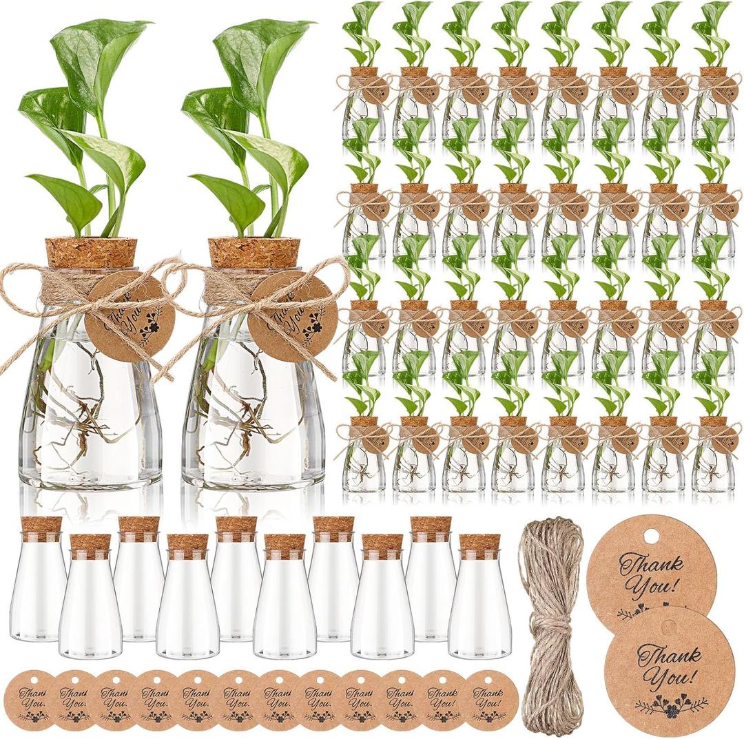Baderke 48 Pack 3.35'' Plastic Plant Propagation Stations with Hole Lid Planter Vase Clear Propagation Jars with Thank You Tags for Plant Lover Gifts for Women Office Home Garden