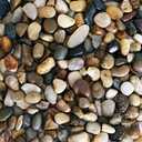5 lbs Approx. 430 River Rocks Stones for Plants Pebbles for Indoor Plants | Aquarium Fish Tank Rocks | Polished Decorative Rocks for Vases (0.3-0.6 Inches)