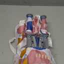 Portable Baby Booster Seat with Tray, Toddler Booster seat for Dining, Camping, Travel, Baby Beach Chair 6 Months to 3 Years Old Indoor Outdoor Use CH2408 (Pink White)