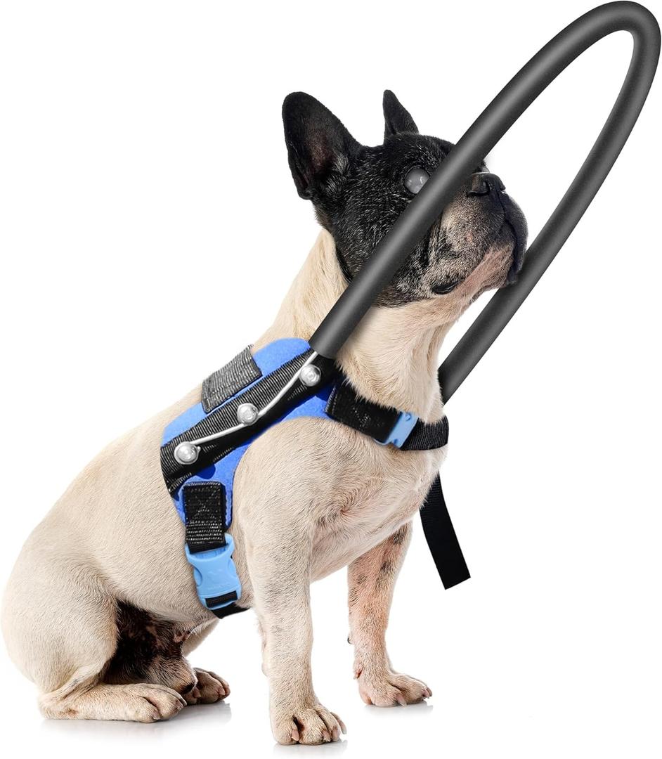 Blind Dog Harness, Guiding Halo with Protective Vest - Adjustable Support Harness to Calm & Guide Blind Pets, Confidence Building Leash Attachment for Safe Walking and Training (S)