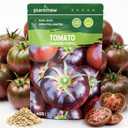 400 Heirloom Cherokee Purple Tomato Seeds for Planting – Unique Dark Purple Beefsteak, Rich Flavor, High Germination, Ideal for Home Garden & Container (EXP 11/17/27)