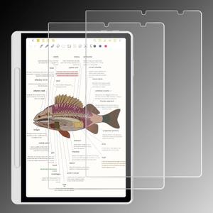 Anti-Glare Screen Protector for XPPen Magic Note Pad Tablet 10.95" (2025) | Anti Fingerprint | Scratch Resistant | Paper Feel | Nano Matte PET Soft Film | 2-Pack | (Matte)