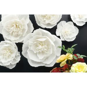Letjolt White Paper Flowers Decorations for Wall 3D Artificial Flowers Home Decor Wedding Garlands Baby Shower Bridal Shower (Set 6)