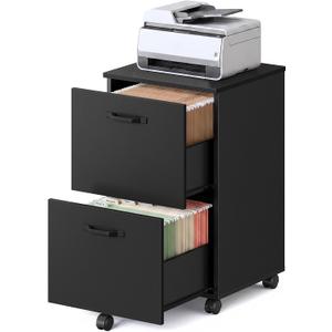 VASAGLE 2-Drawer File Cabinet, Small Rolling Filing Cabinet