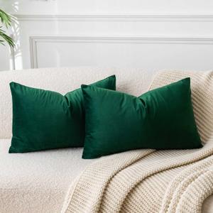 JUSPURBET 24x16 Inch Dark Green Pillow Cover Set of 2 Decorative Soft Lumbar Velvet Throw Pillow Cases for Couch Bedroom Hypoallergenic with Hidden Zipper Fade Resistant