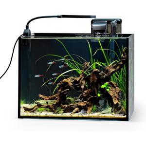 NICREW 2.5 Gallon Nano Nature Aquarium Kit, Ultra-Clear Rimless Desktop Fish Tank with Light and Filter, Perfect for Small Fish, Shrimp, or Betta, Basic Version, Black