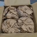 Heavy Beer Mugs Set, 16oz Glass Mugs With Handle, Beer Glasses For Freezer, 500ml Beer Drinking Glasses, Traditional Stein For Bar, Alcohol, Beverages,Coffee, Teas, Set of 4