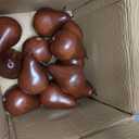 Wavwavw 12 Pcs Artificial Fruit Fake Brown Pear Bulk Lifelike Simulation Pears Decorative Fake Fruit Decor Artificial Fruit Model for Photography Props Home Decoration Supermarket Display