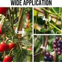 Plant Support Clips Plastic Tomato Clips Plant Clips for Climbing Plants Clear Grape Tomato Vine Trellis Clips for Garden Vegetables Plants Flower Grow Fixing (300, White)