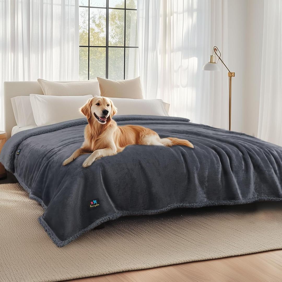 Luciphia Waterproof Pet Blankets, Liquid Pee Proof Dog Blanket for Sofa Bed Couch, Reversible Sherpa Fleece Furniture Protector Cover for Small Medium Large Dogs Cats, Dark Gray King Size100" x 85"