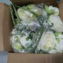 MARTINE MALL 8 Packs Peonies Artificial Flowers, Champagne Artificial Peonies, Silk Peonies Flowers Fake Peonies Artificial Flowers Peonies Bouquet for Centerpiece Table Wedding Party Home Decor