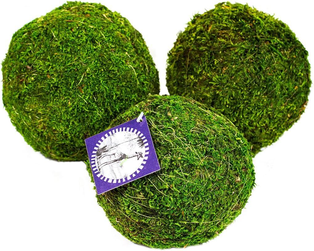 SuperMoss (25542 Moss Balls, Fresh Green, 6" (3 Pack)