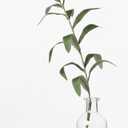 Artificial Green Stem in Glass Bottle, Realistic Green Foilage, Minimalist Tabletop Decor