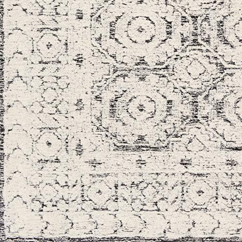 Surya Louvre Area Rug 8' x 10'