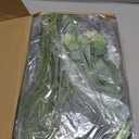 120 Pcs Mixed Artificial Eucalyptus Leaves Stems Bulk,Baby Breath Artificial Flowers Bulk with Eucalyptus Leaves Greenery Stems for DIY Bouquets Wedding Floral Home Decor (Green-120pcs)