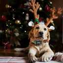 Dog Collars - Red Plaid Print, Soft, Adjustable, Gift Collar for Large Dogs (Large (Pack of 1))