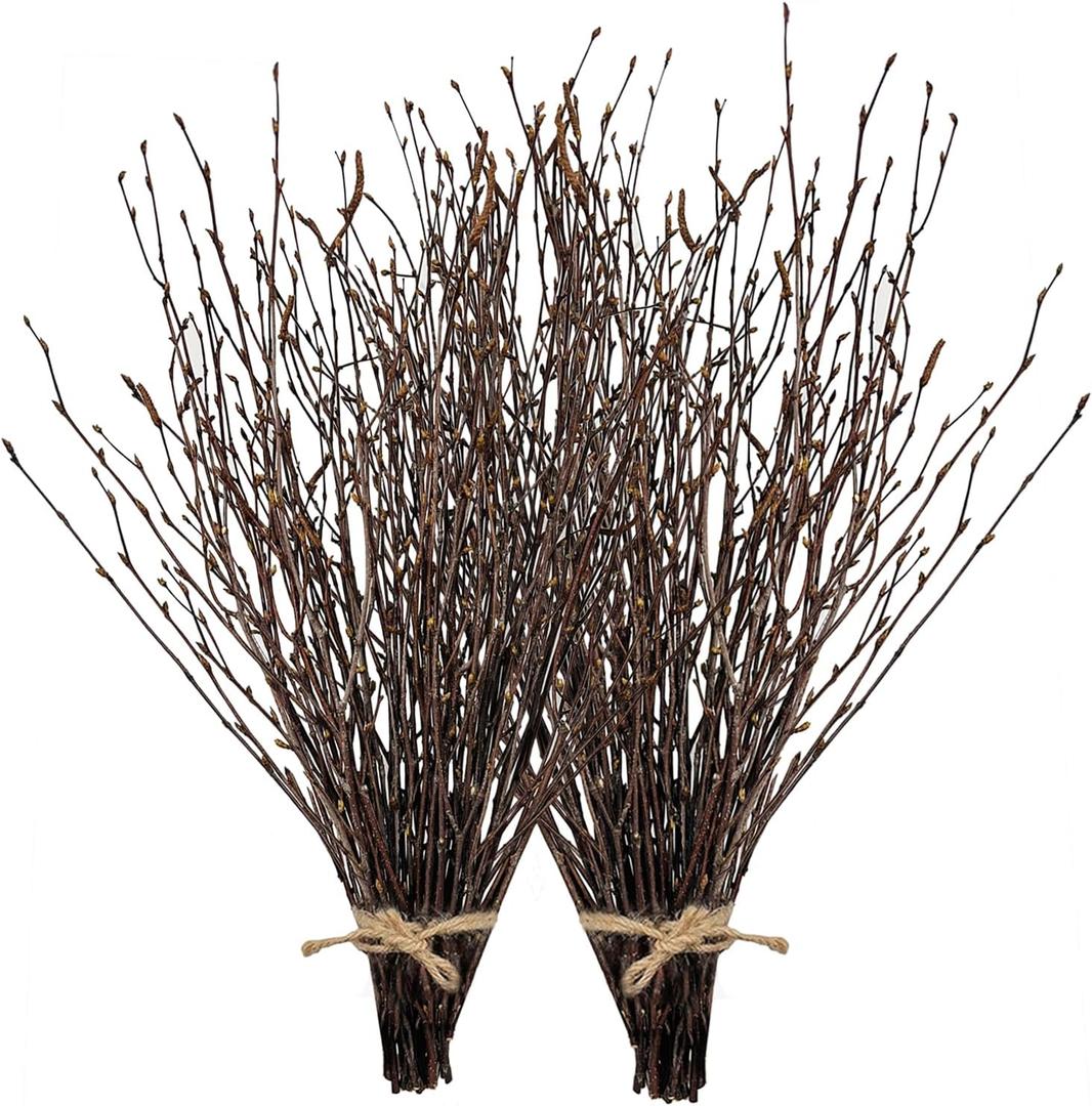17 Inch Natural Birch Branches Dried Birch Twigs Wreath Making Supplies Dried Plants for Rustic Home Decor Easter Stems Vase Filler DIY Crafts Vases Tall Wreath Christmas Decoration Wedding (100Pcs)