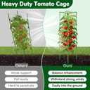ZeeDix 4 Pack Heavy Duty Tomato Cages 65 Inch, Large Tall Plant Support Stakes for Climbing Plants Heavy Vegetables, Adjustable Tomato Trellis for Pots & Outdoor Raised Garden Beds