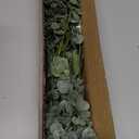 10 Pcs Mixed Eucalyptus Leaves Stems Bulk Artificial Silver Dollar Picks Faux Branches for Vase Bouquets Floral Arrangement Wreath Farmhouse Rustic Greenery Decor