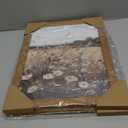 Wildflower Botanical Wall Art Decor Set of 2 Vintage Canvas Wall Decor Landscape Field Wall Art Pictures Farmhouse Prints Landscape Painting Vintage Artwork for Room Bedroom 12x16 Inch Framed