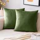 EMEMA Pack of 2 Velvet Throw Pillow Covers Decorative Square Pillowcase Soft Solid Cushion Case for Sofa Bedroom Chair Car 18x18 Inch Moss Green