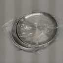 8-Piece Stainless Steel Plates, 8 Inch Metal Dinner Dishe Serving Camping Plates, Reusable and Dishwasher Safe