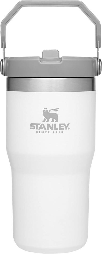 STANLEY IceFlow Flip Straw Tumbler with Handle 20 oz | Twist On Lid and Flip Up Straw | Leak Resistant Water Bottle | Insulated Stainless Steel |BPA-Free | Polar