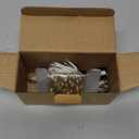 66Ft 200LED Fairy Lights Plug in, Waterproof String Lights Outdoor & Indoor 8 Modes with Timer, Christmas Light Bedroom Decor, Twinkle Light for Girl's Room Garden Christmas Decorations (Cool White) (1 Pack(200LED))