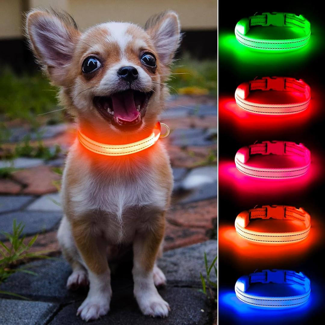 Light Up Dog Collar - Rechargeable LED Dog Collar, Adjustable Reflective Puppy Collar, Glowing Safety Dog Lights for Small Breeds Dogs Cats (Orange) (XS (8.5-11.8inch / 21.5-30.0cm))