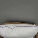 Pillows King Size Set of 2,Breathable Hotel Collection Bed Pillows for Sleeping Medium Soft Down Alternative Microfiber Filled,20 x 36 Inches (White)