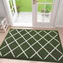 Finchitty Indoor Door Mat, Dirt Resistant and Absorbent, Low-Profile, Non-Slip, Washable Inside Floor Mats for Front Door, Back, and Entrance, 48" x 32", Green