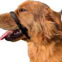 PetsProMax No-Pull Dog Headcollar for Large Dogs (Agressive/Reactive Dogs; Instant Stop Pulling; Gentle Training Collar for Dogs; Comfortable, Safe, and Effective Walking/Training Solution (Black, L)