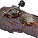 Flushbay Turtle Floating Basking Platform Aquarium Turtle Decorations Artificial Bark Tortoise Climbing Platform with Suction Cups Resting Terrace for Terrapins (Turtle Floating Basking Platform)