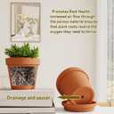 30 Pack Terracotta Saucers 3x3 Inch, Shallow Clay Drip Trays for Small Plant Pots, Succulents, Seedlings, Indoor Outdoor Use