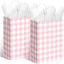 Kolldenn 24 Pcs Gingham Party Supplies Pink and White Gift Bags 8.27 x 6.3 x 3.15 Inch Kraft Paper Checkered Plaid Candy Goodie Party Favors Bags for Easter Picnic BBQ Birthday Baby Shower Wedding
