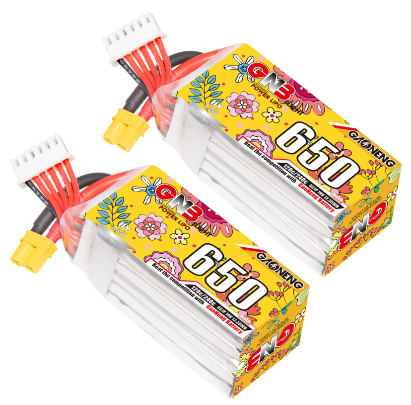 GAONENG GNB LiPo Battery 6S 650mAh 22.2V 160C 320C Long Range Free Style Drone FPV XT60 Plug, 2pcs