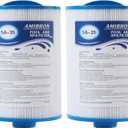 PMAX50 Spa Filter, Compatible with PMAX50P4, PAS35P, FC-0300, 5CH-35, SD-00779, Replacement for Maax Spas of Canada, 1-1/2" Male Fine Thread 35 sq.ft. Hot Tub Filter 2 Pack