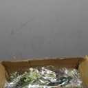 20 Inch Front Door Wreath - Faux Flower and Greenery Hanging Arrangement with Ribbon, Perfect for Easter, Spring, Summer, and Front Door Seasonal Home Decor Welcome Wreath White Berries (A-spring Green Wreath)