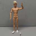 Barbie Ken Beach Doll with Blond Hair And White Dog